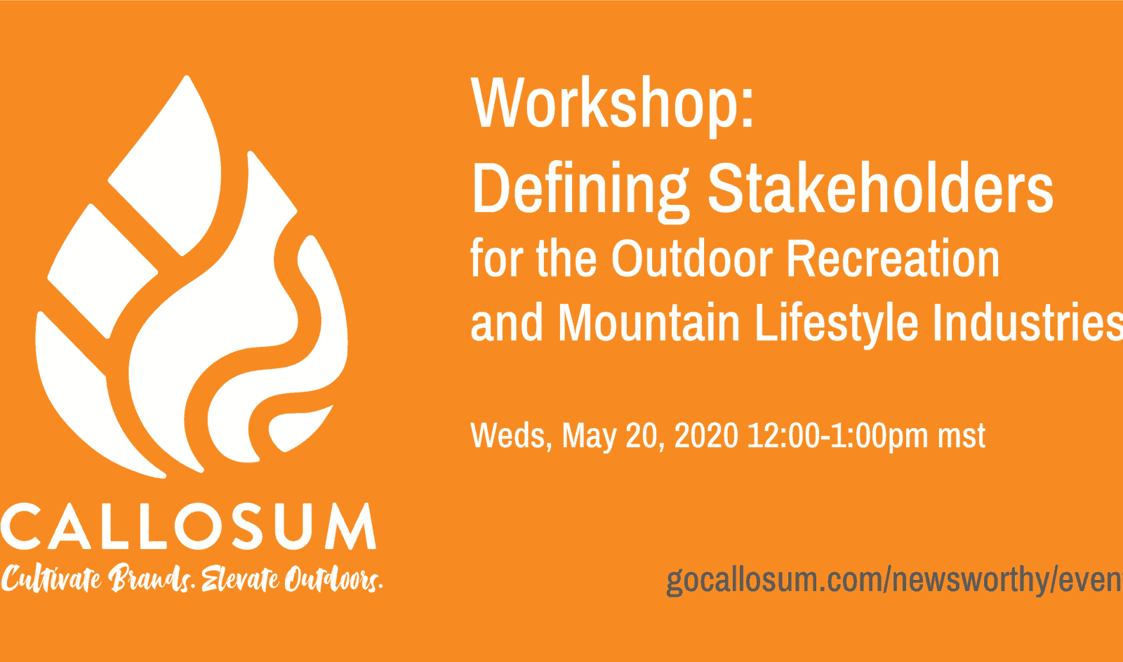 Callosum Event Workshop Stakeholders 052020